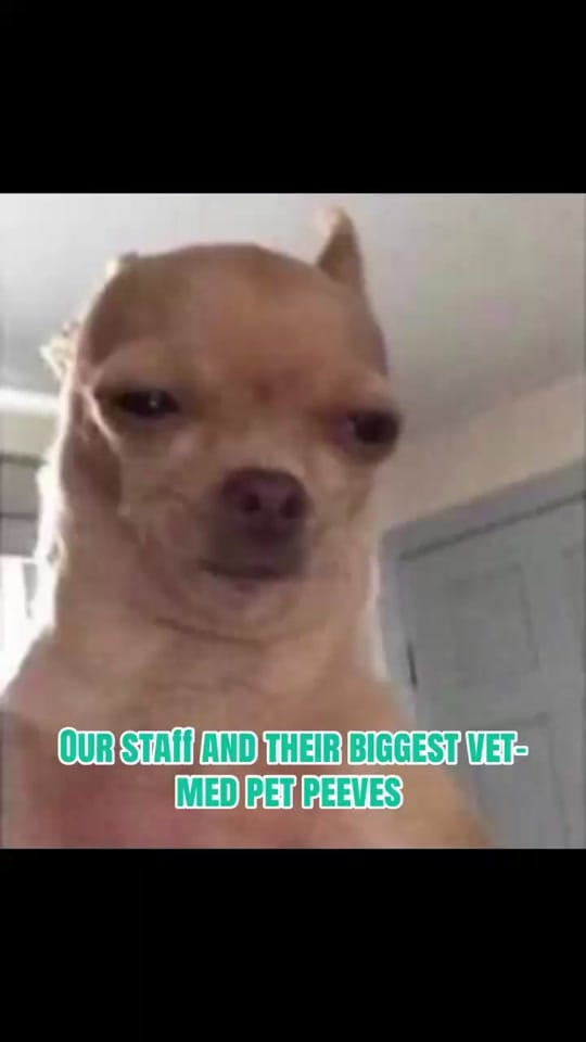 Post 7 by Gause Blvd Vet Hosp on TikTok (video)