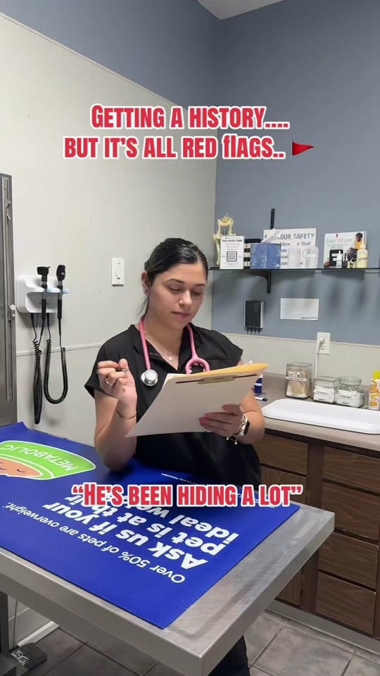 Post 6 by Gause Blvd Vet Hosp on TikTok (video)