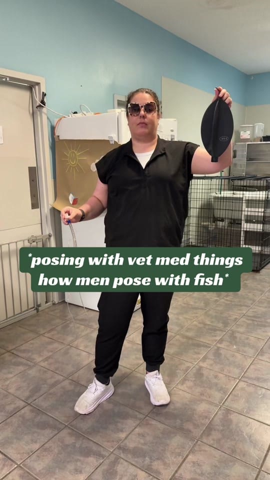 Post 2 by Gause Blvd Vet Hosp on TikTok (video)