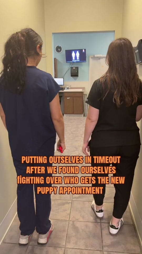 Post 4 by Gause Blvd Vet Hosp on TikTok (video)