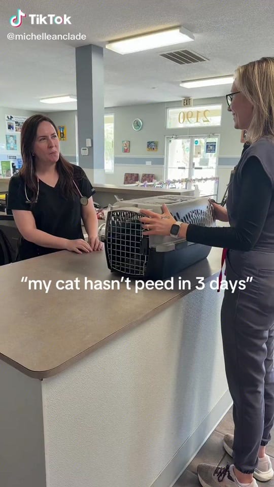 Post 9 by Gause Blvd Vet Hosp on TikTok (video)
