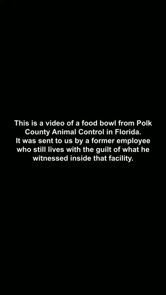 Post 1 by ✨Susan Joseph ✨ on TikTok (video)