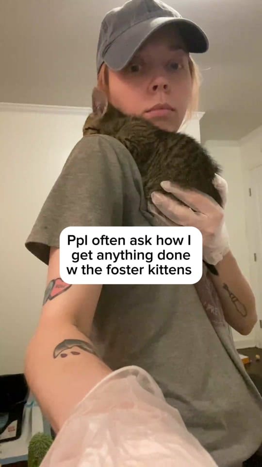 Post 8 by Hair and Hay on TikTok (video)