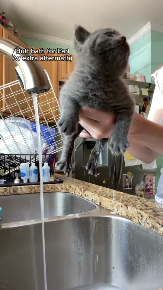 Post 9 by Hair and Hay on TikTok (video)