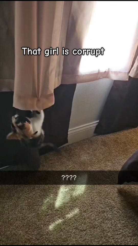 Post 10 by 🥨adison on TikTok (video)