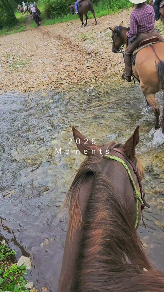 Post 5 by 🥨adison on TikTok (video)
