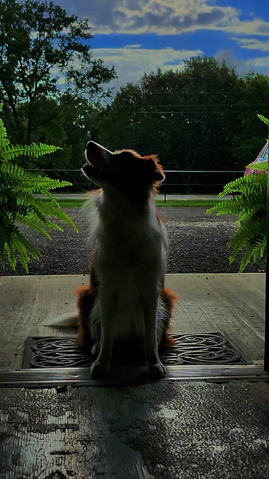 Post 9 by 🥨adison on TikTok (video)