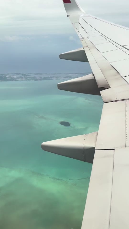 Post 5 by Kaitlin Richard on TikTok (video)