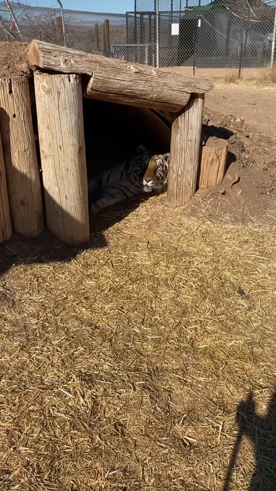 Post 10 by Kaitlin Richard on TikTok (video)