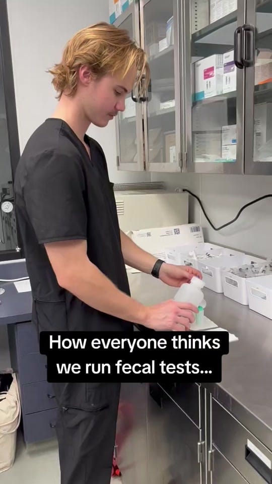 Post 9 by All Kind Animal Initiative on TikTok (video)