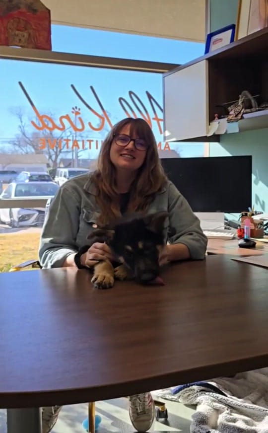 Post 5 by All Kind Animal Initiative on TikTok (video)