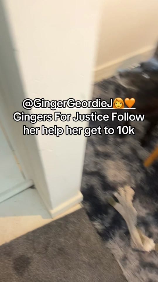 Post 3 by MisterRich on TikTok (video)