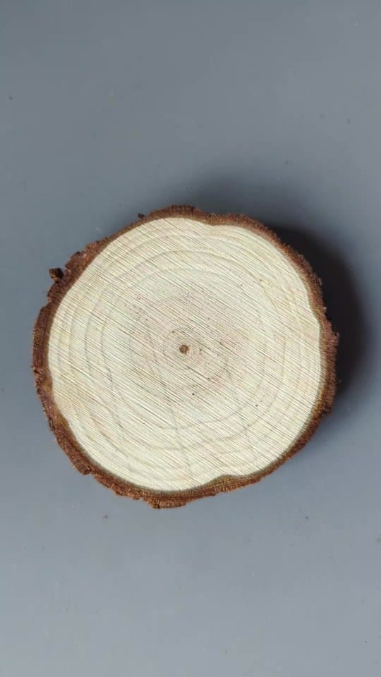Post 8 by hamiltonhomemadeca on TikTok (video)