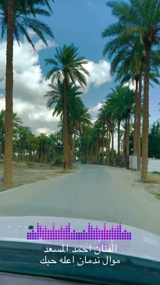 Post 8 by الفنان احمد المسعد 🎤 on TikTok (video)