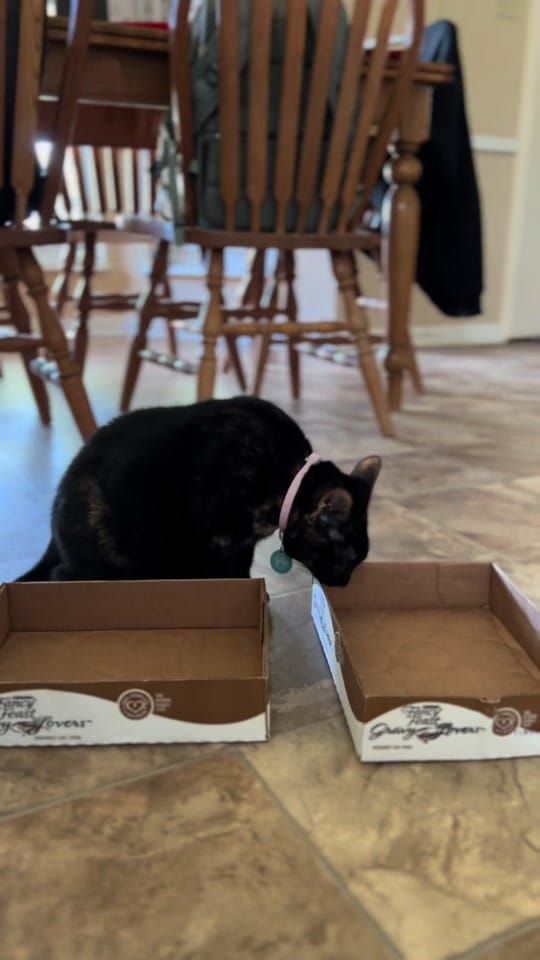 Post 1 by teamferalhouston on TikTok (video)