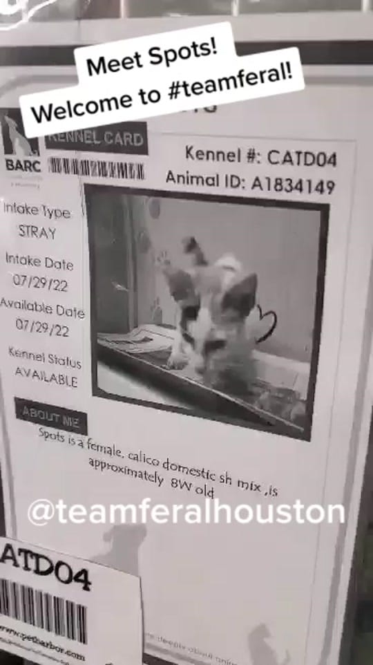 Post 8 by teamferalhouston on TikTok (video)
