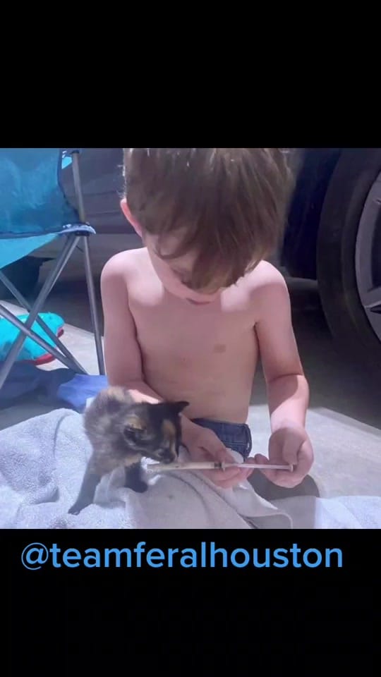 Post 7 by teamferalhouston on TikTok (video)