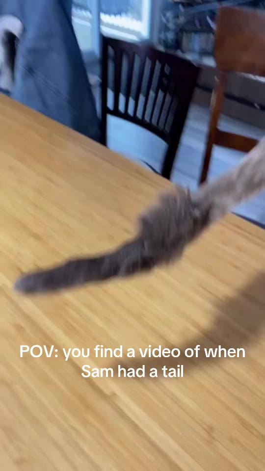 Post 4 by Kendra Sykes on TikTok (video)