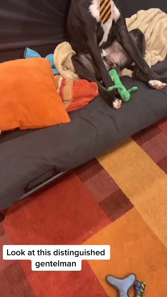 Post 7 by Kendra Sykes on TikTok (video)