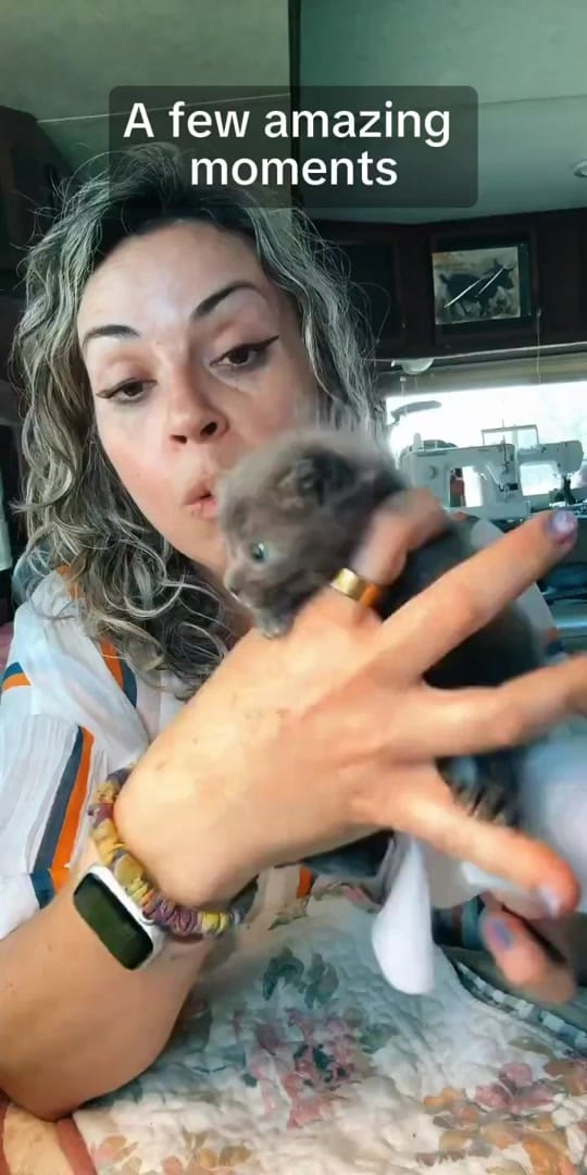 Post 7 by Animal rescue & rehab Comfort on TikTok (video)