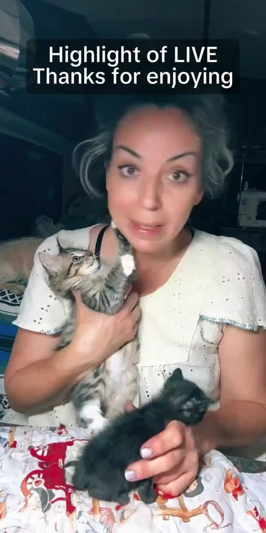 Post 5 by Animal rescue & rehab Comfort on TikTok (video)