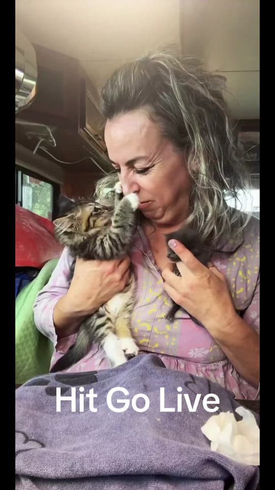 Post 10 by Animal rescue & rehab Comfort on TikTok (video)