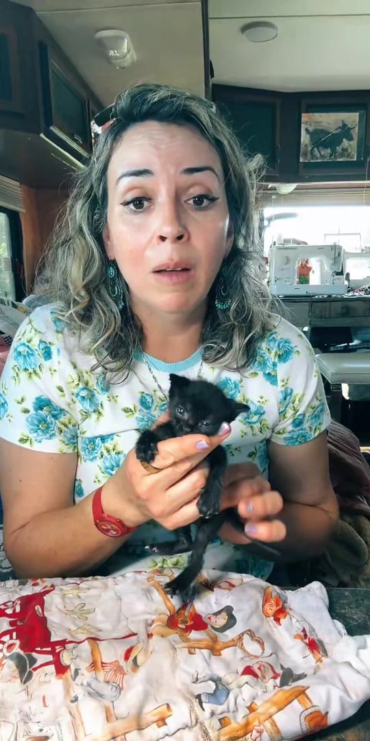 Post 6 by Animal rescue & rehab Comfort on TikTok (video)