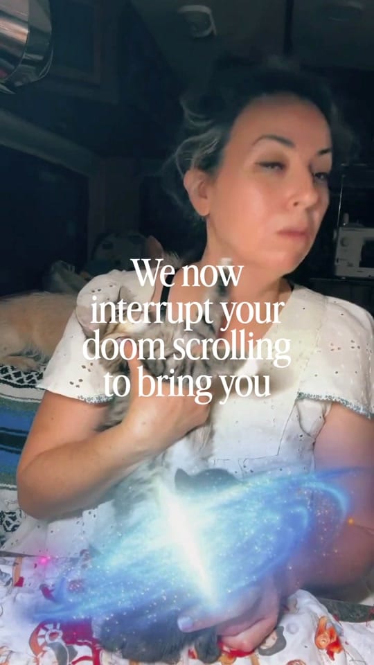 Post 1 by Animal rescue & rehab Comfort on TikTok (video)