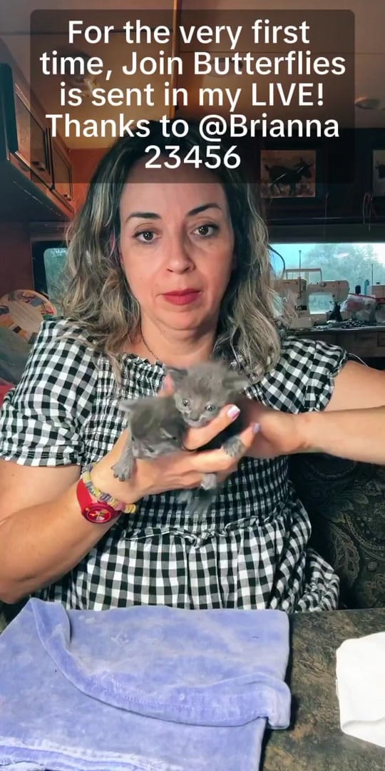 Post 8 by Animal rescue & rehab Comfort on TikTok (video)