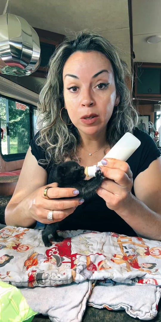 Post 4 by Animal rescue & rehab Comfort on TikTok (video)