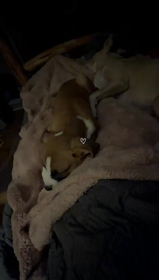 Post 3 by Carrie~oilfield wifey on TikTok (video)