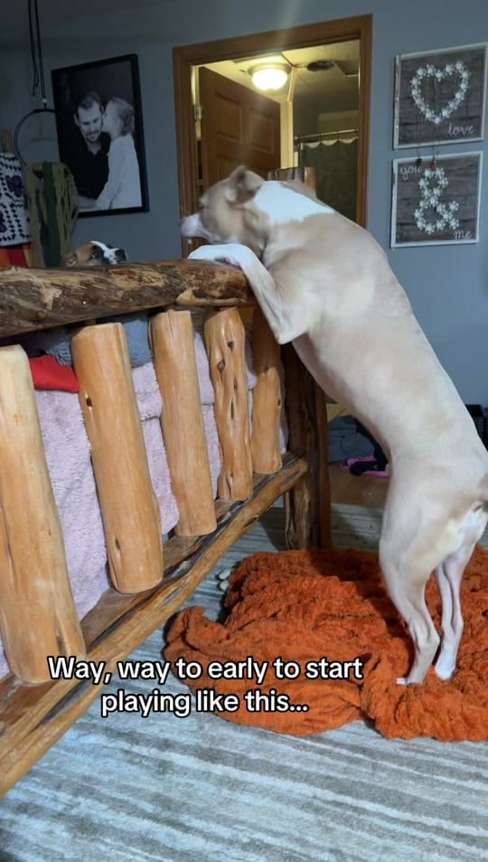 Post 1 by Carrie~oilfield wifey on TikTok (video)