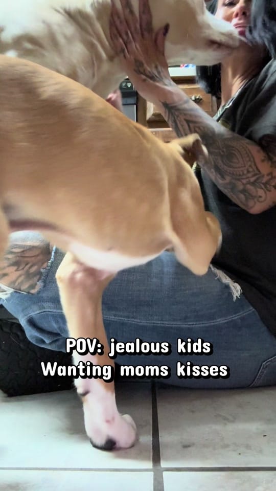 Post 6 by Carrie~oilfield wifey on TikTok (video)