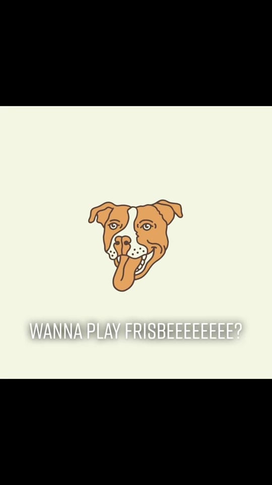 Post 3 by PUPS AND DOWNS on TikTok (video)