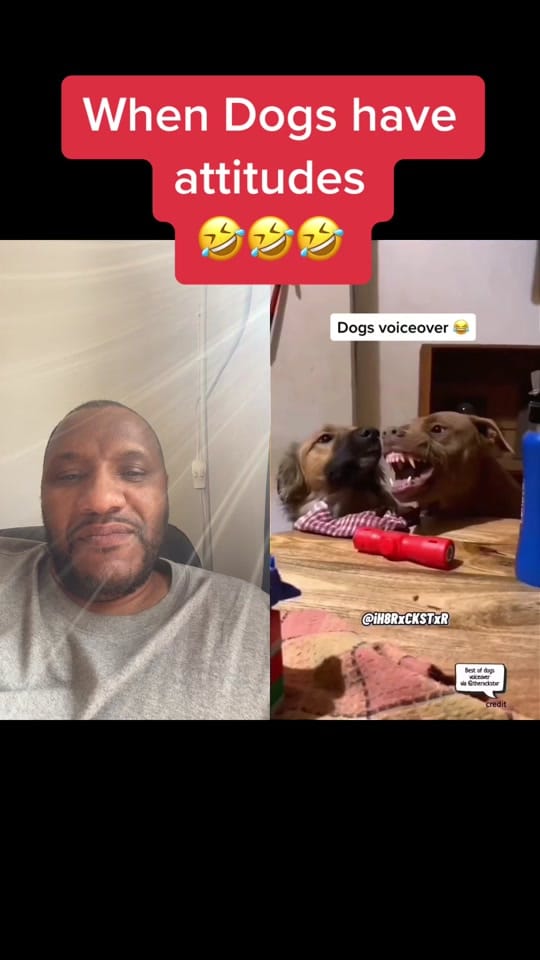 Post 9 by Patrick T on TikTok (video)