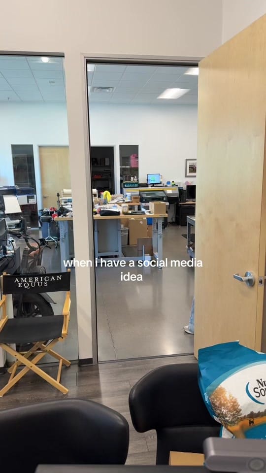 Post 7 by American Equus on TikTok (video)