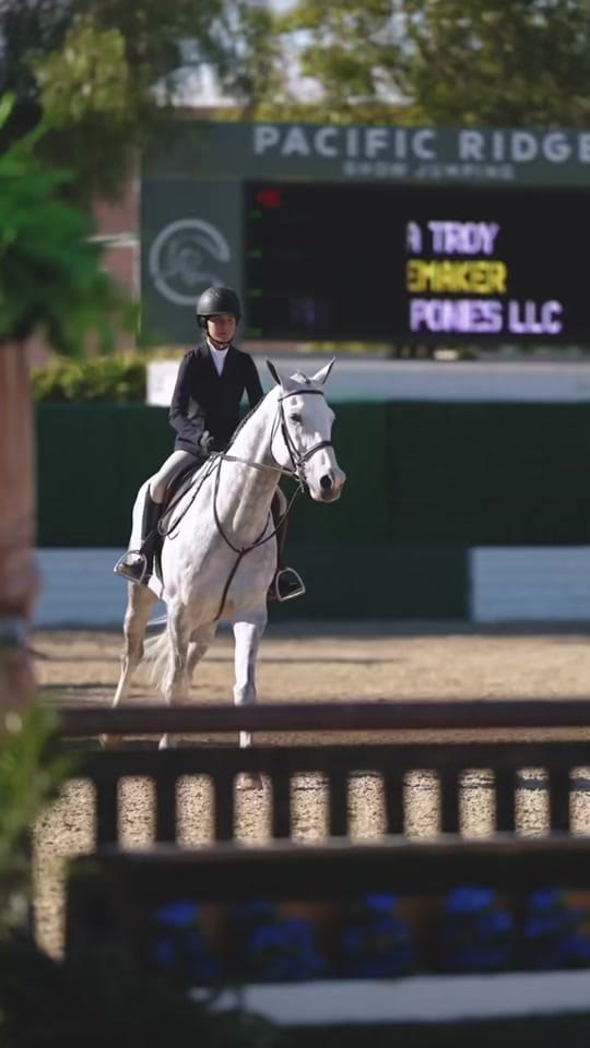 Post 3 by American Equus on TikTok (video)