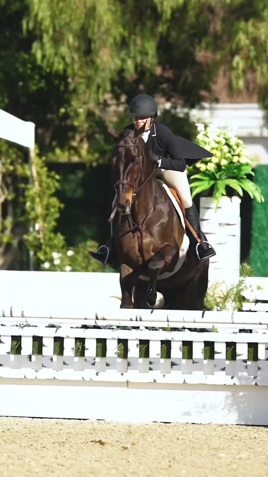 Post 5 by American Equus on TikTok (video)