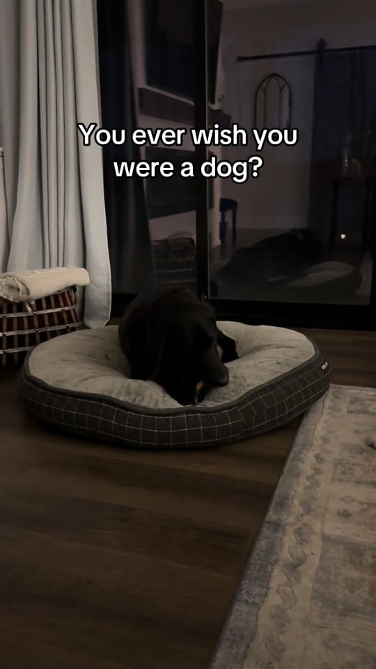 Post 3 by Slick Skills on TikTok (video)
