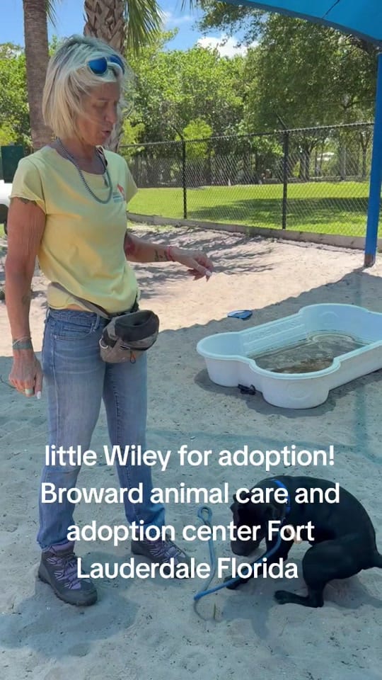 Post 8 by Julie on TikTok (video)