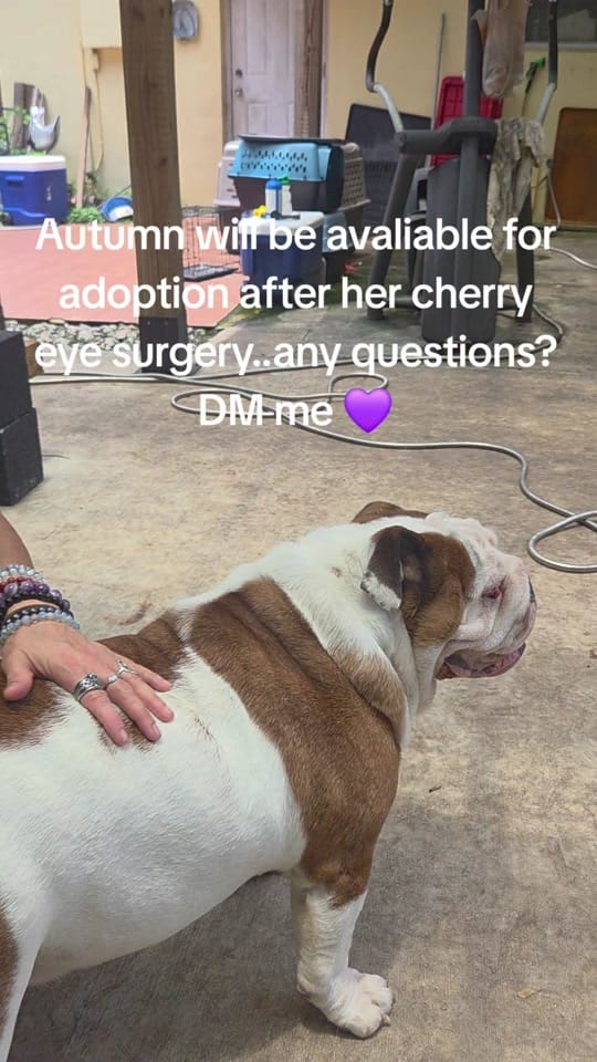 Post 1 by Julie on TikTok (video)