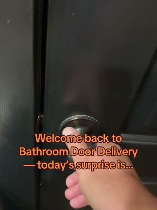 Post 2 by Valor The Service Dog 🐕‍🦺 on TikTok (video)