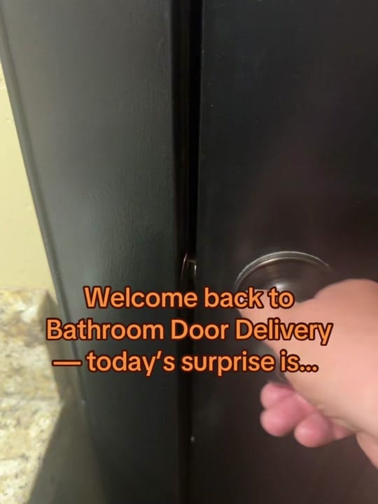 Post 4 by Valor The Service Dog 🐕‍🦺 on TikTok (video)