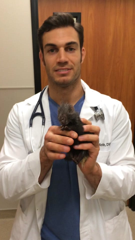 Post 9 by Dr.EvanAntin on TikTok (video)