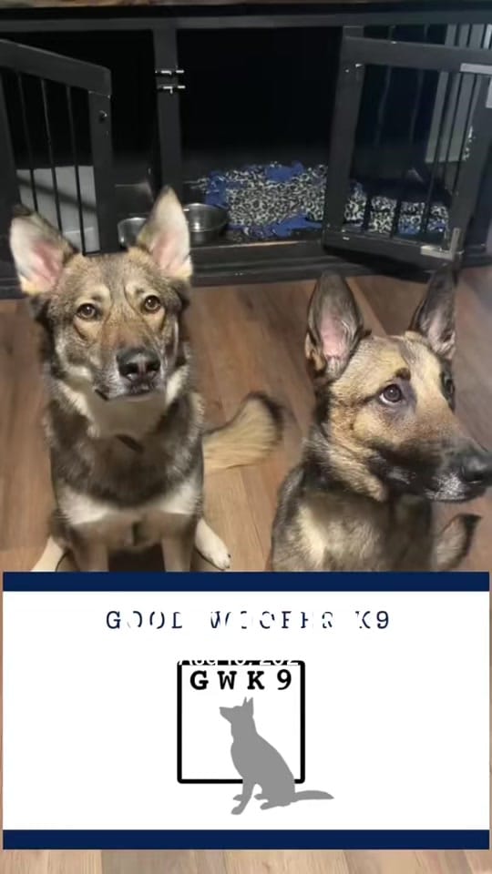 Post 10 by Good Woofer K9 on TikTok (video)