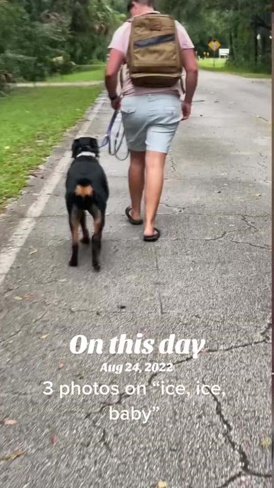 Post 9 by Good Woofer K9 on TikTok (video)