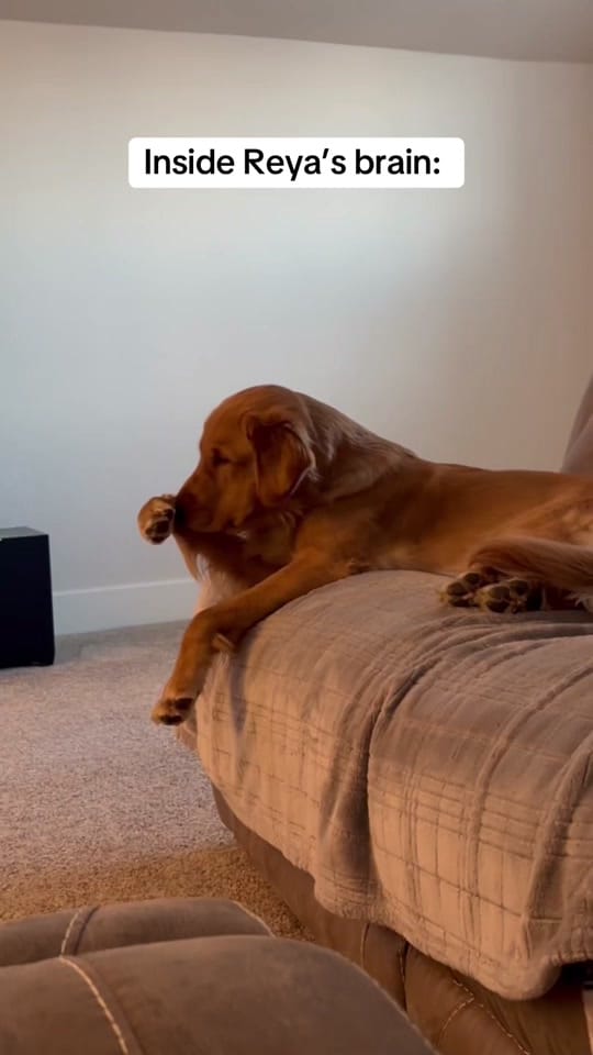 Post 7 by Maggie May on TikTok (video)