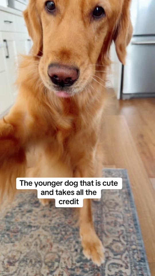 Post 4 by Maggie May on TikTok (video)