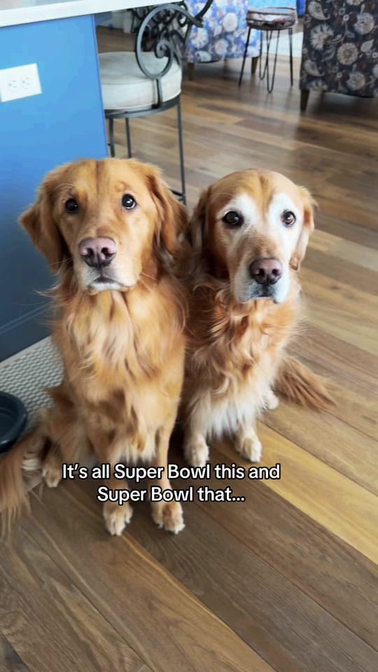 Post 5 by Maggie May on TikTok (video)