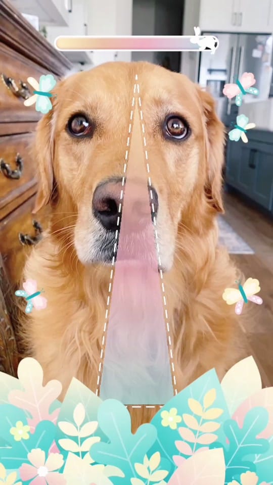 Post 10 by Maggie May on TikTok (video)